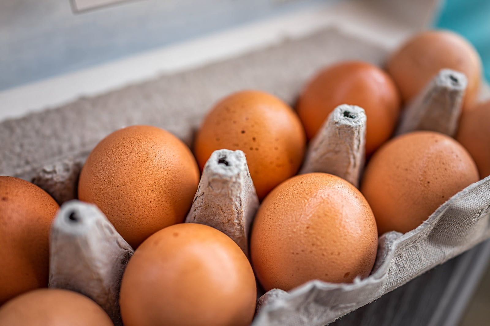 Eggs Revisited: Cholesterol, Gut Health, and Nutrient Density