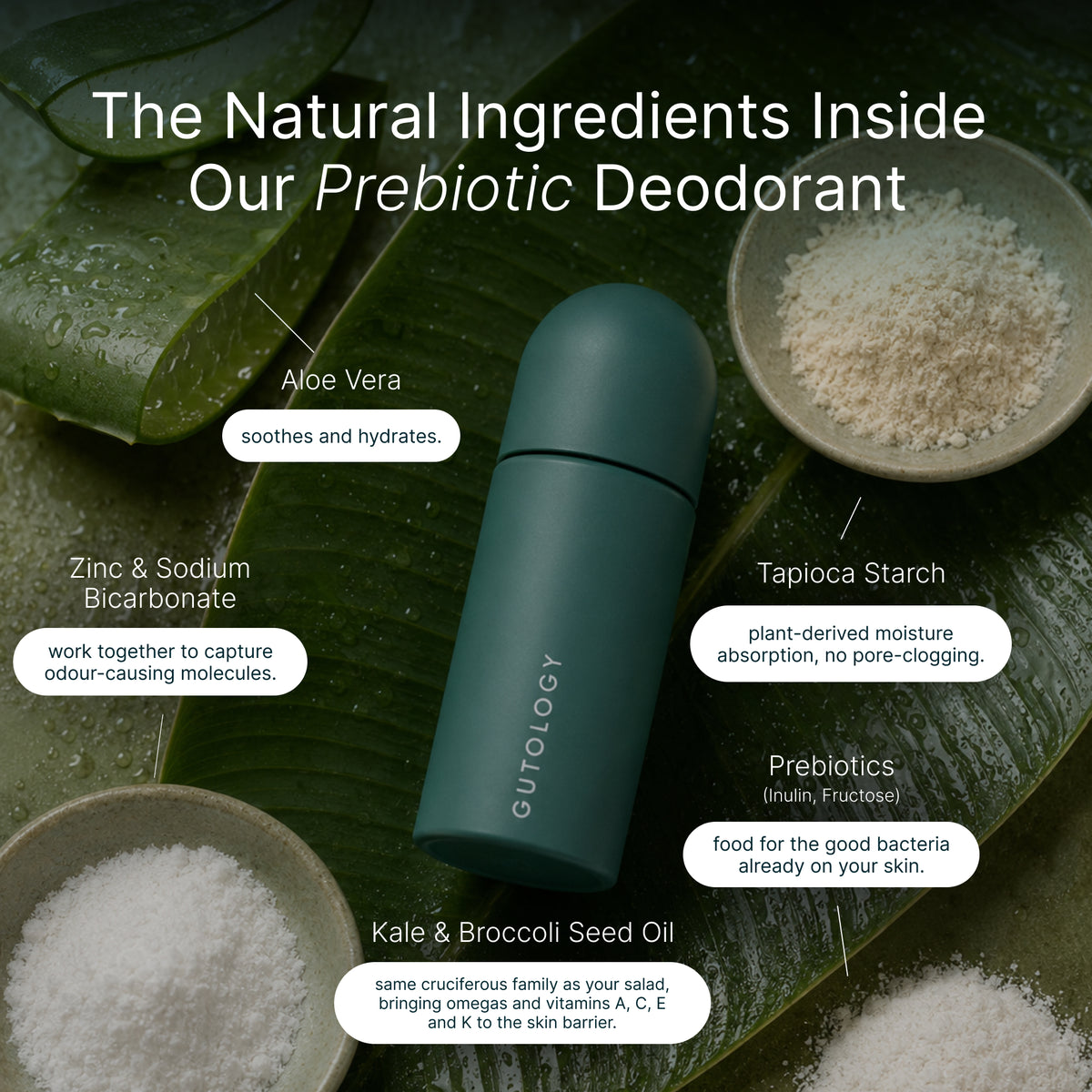 Prebiotic Deodorant